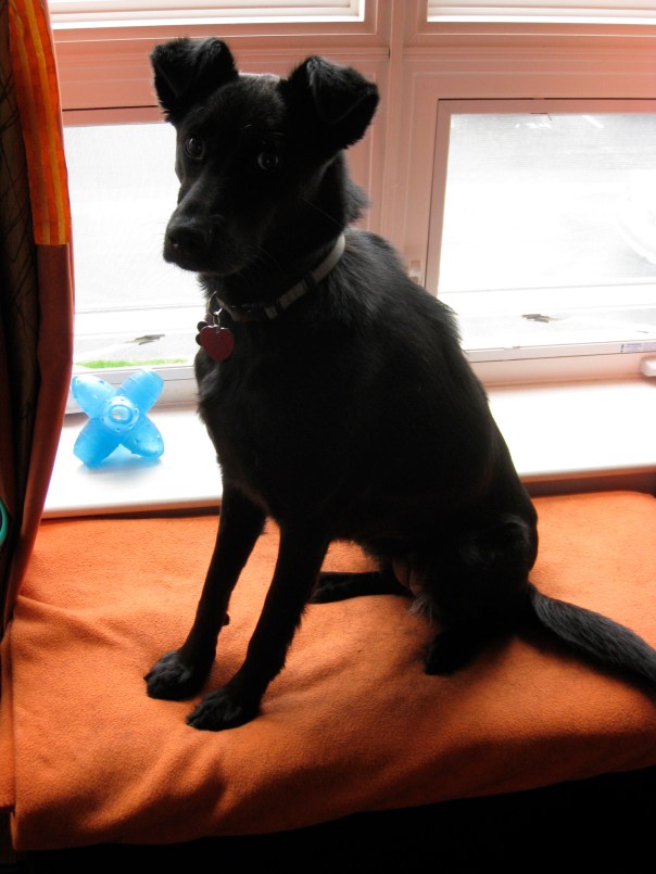 Careful: she'll cute you death!